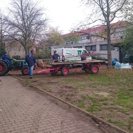 Größeres Bild ansehen