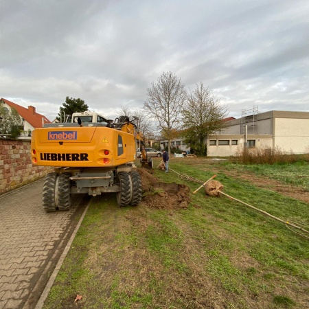 Größeres Bild ansehen