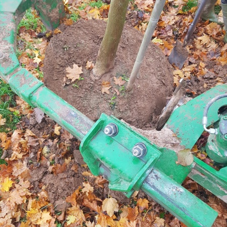 Größeres Bild ansehen